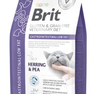 GF VD Gastrointestinal-Low fat Cat - 2 kg