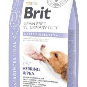 GF VD Gastrointestinal Dog - 2 kg