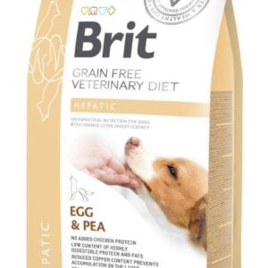 GF VD Hepatic Dog - 2 kg