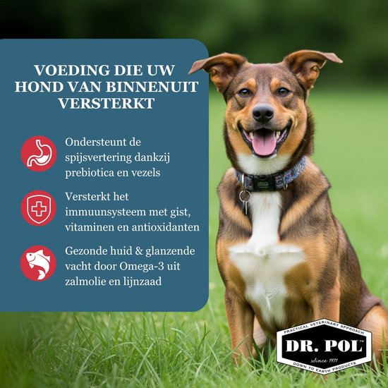 Dr. Pol – Dog – Salmon / Grain-Free 10 kg - Afbeelding 10