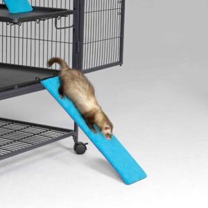 Ferret Nation Exterior Ramp
