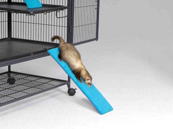Ferret Nation Exterior Ramp