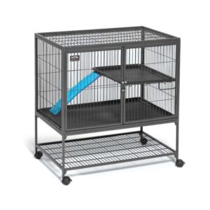 Ferret Nation - Single Unit w/ Stand