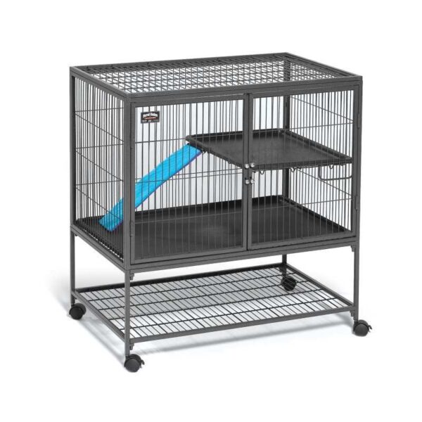Ferret Nation - Single Unit w/ Stand