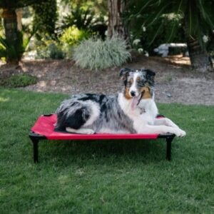 Lucky Dog Pet Bed 36" Red