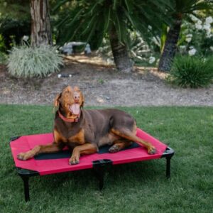 Lucky Dog Pet Bed 42" Red