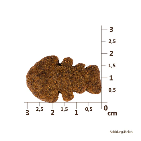 Carnilove Crunchy Snack Salmon with Blueberries 200 g 5+1 gratis - Afbeelding 2