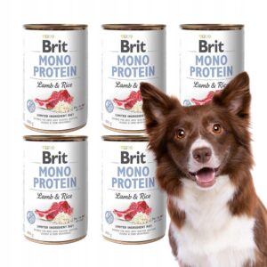 Brit Mono Proteine Lamb & Rice 6 x 400 g