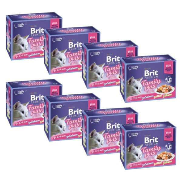 Brit premium kat voordeelpakket Fillets in Jelly Family Plate 12x85g (8 boxes)