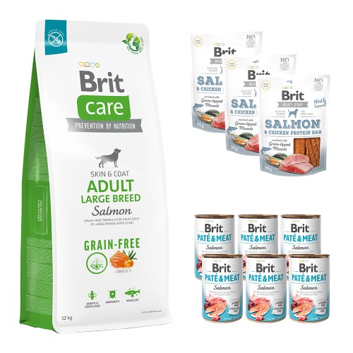 Compleet Maandpakket Brit care adult large salmon 12kg / tray natvoer/ 3 snacks