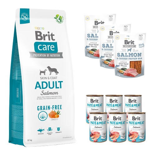 Compleet Maandpakket Brit care adult salmon 12kg / tray natvoer/ 3 snacks