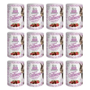 Brit care cat snack superfruits Salmon 12x100gram voordeelbundel