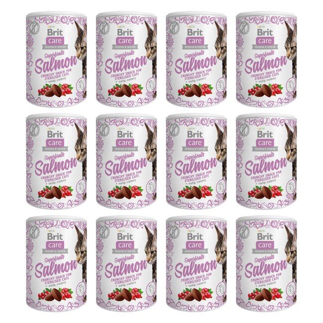 Brit care cat snack superfruits Salmon 12x100gram voordeelbundel
