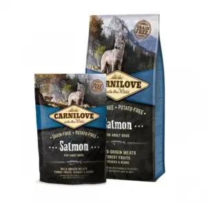 Carnilove Salmon adult - 12+1kg voordeelbundel