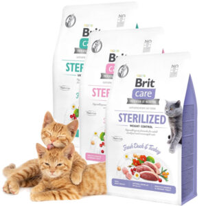 Brit care cat sterilized probeerpakket 3x2kgs
