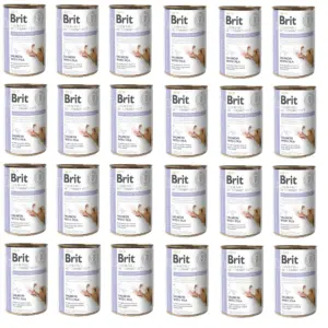 BRIT Veterinary Diet Dog Can - Gastrointestinal 24x400 g voordeelbundel