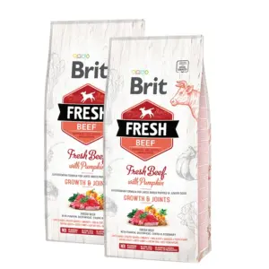 Brit Fresh Beef with Pumpkin Puppy Large 2x12 kg voordeelbundel
